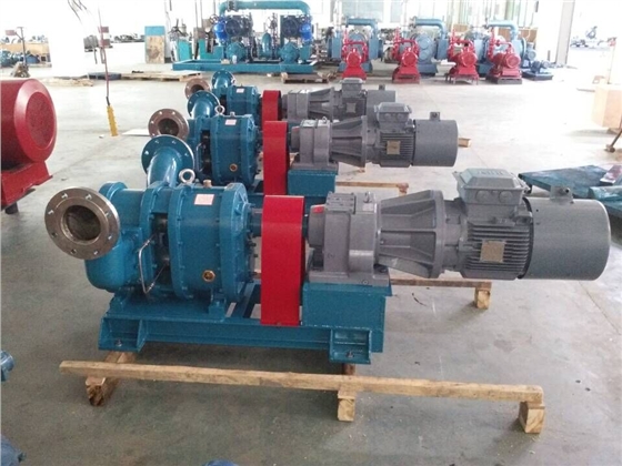 羅德橡膠包覆轉(zhuǎn)子的轉(zhuǎn)子泵20181012 羅德橡膠包覆轉(zhuǎn)子的轉(zhuǎn)子泵20181012