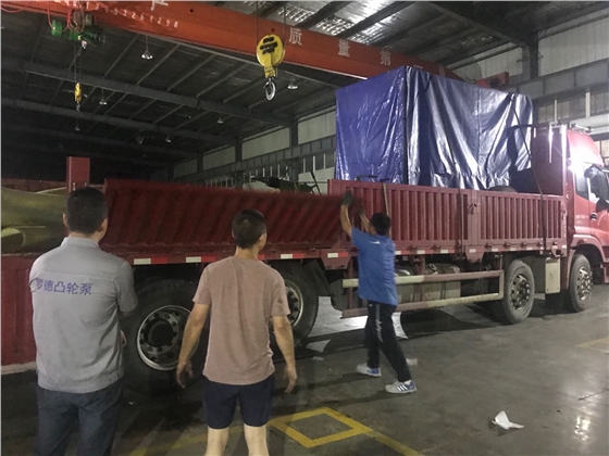 大流量轉(zhuǎn)子泵移動(dòng)泵車(chē)