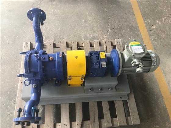 轉(zhuǎn)子泵 轉(zhuǎn)子泵