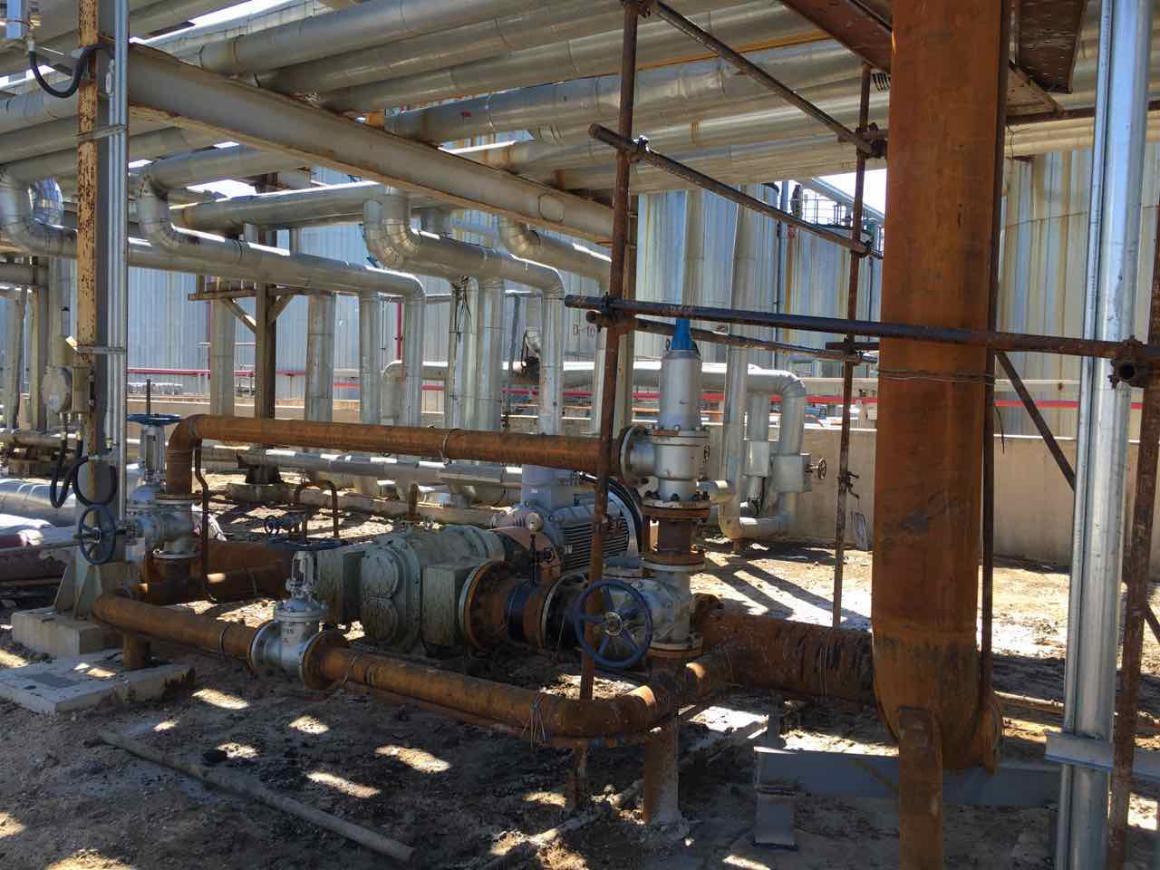 石油石化行業(yè)使用羅德品牌凸輪轉(zhuǎn)子泵20160919 石油石化行業(yè)使用羅德品牌凸輪轉(zhuǎn)子泵20160919