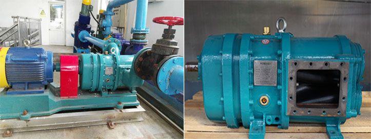 羅德轉(zhuǎn)子泵能替代螺桿泵以及隔膜泵嗎？