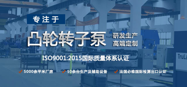 凸輪轉(zhuǎn)子泵生產(chǎn)廠家，專(zhuān)注于凸輪轉(zhuǎn)子泵的研發(fā)生產(chǎn)，高端定制